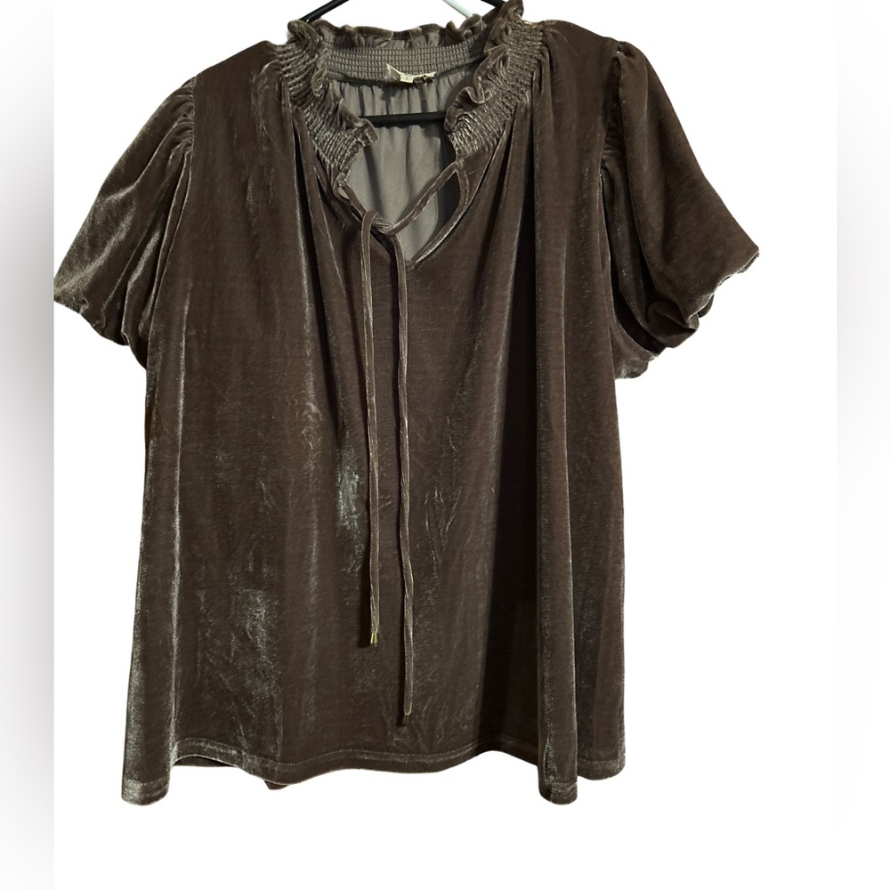 Brown Velvet Women's Top